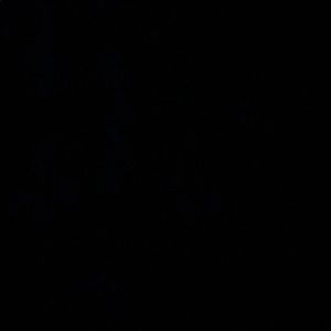 Meet your Posher, Ellie